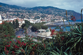 Madeira – wie Sie Ihre Traumreise vorbereiten