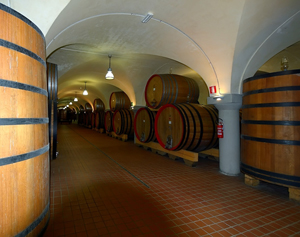 Einer der Kellerrume der Vecchia Cantina in Montepulciano